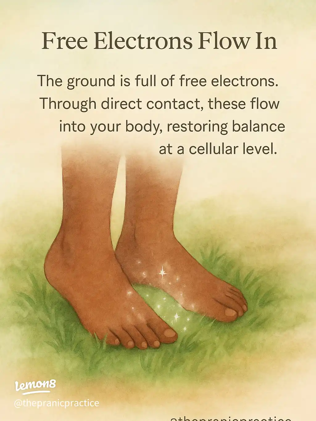 The daily Ground..'s images(2)