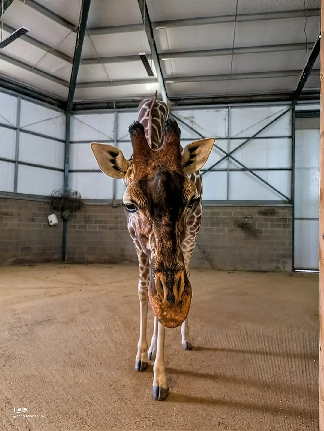 banham zoo trip 's images(6)