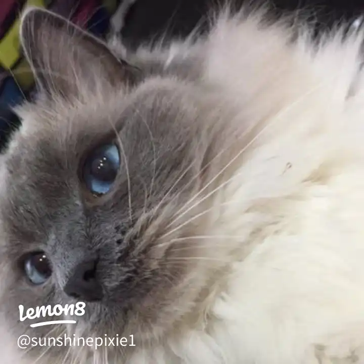 Heartbroken you had to leave us today🥲's images(1)