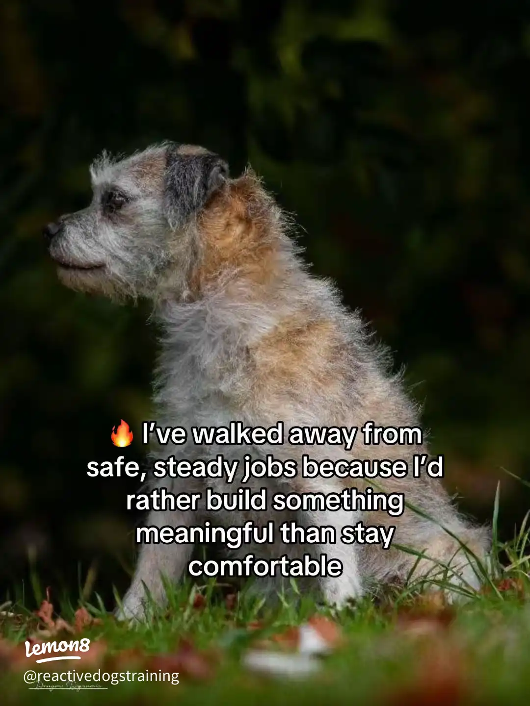 10 Things You Might Not Know About Me ✨ 's images(2)