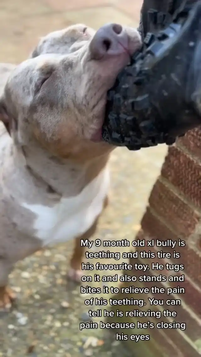 This video got 1.1 MILLION views on tiktok!