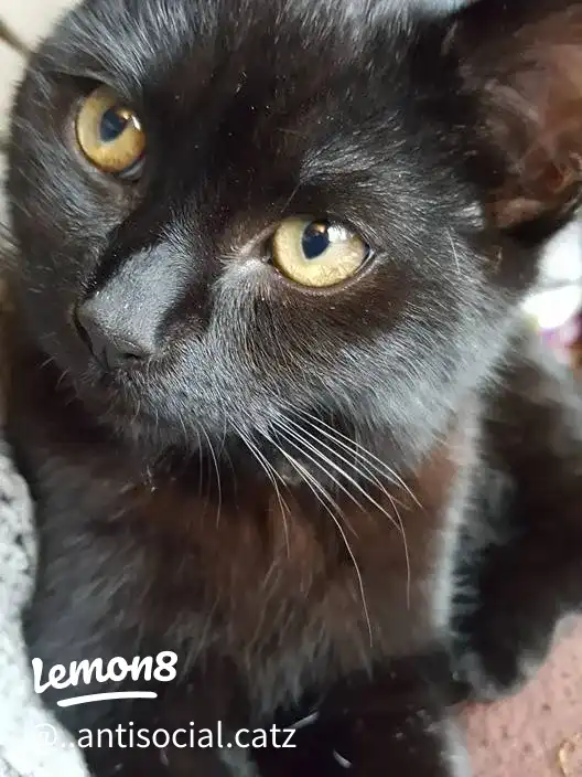 my babies 's images(8)