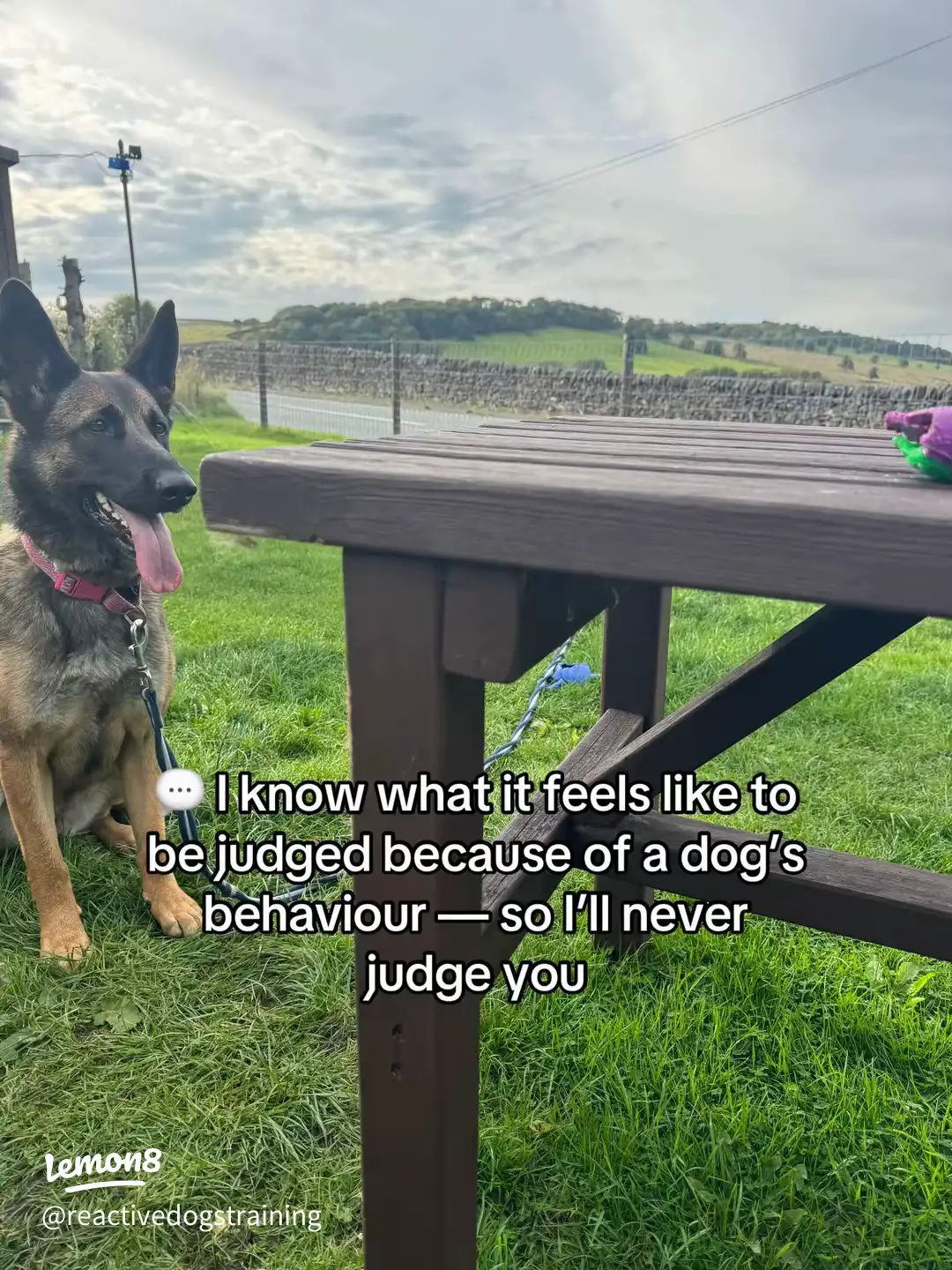 10 Things You Might Not Know About Me ✨ 's images(7)