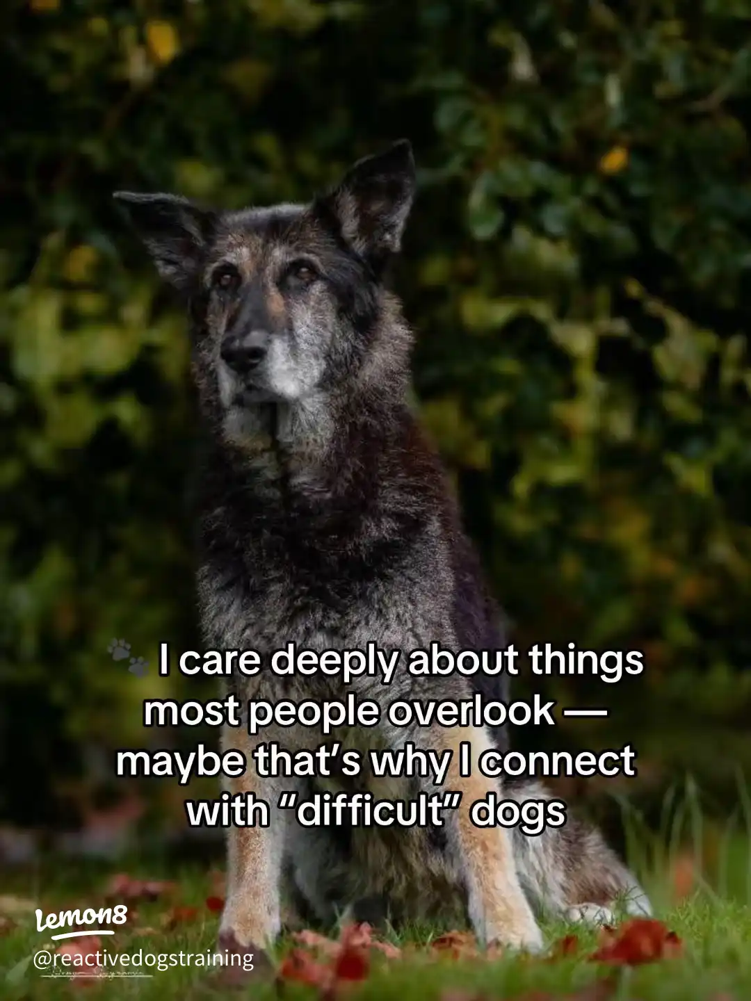 10 Things You Might Not Know About Me ✨ 's images(1)