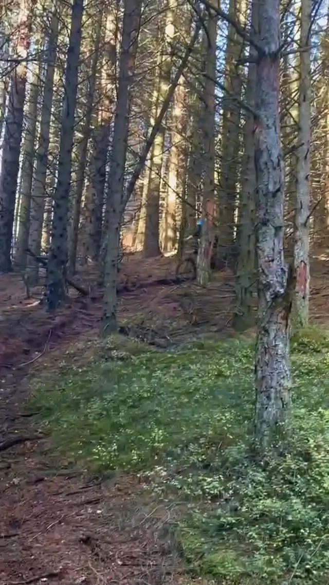 Santa Cruz nomad is lowk the best bike