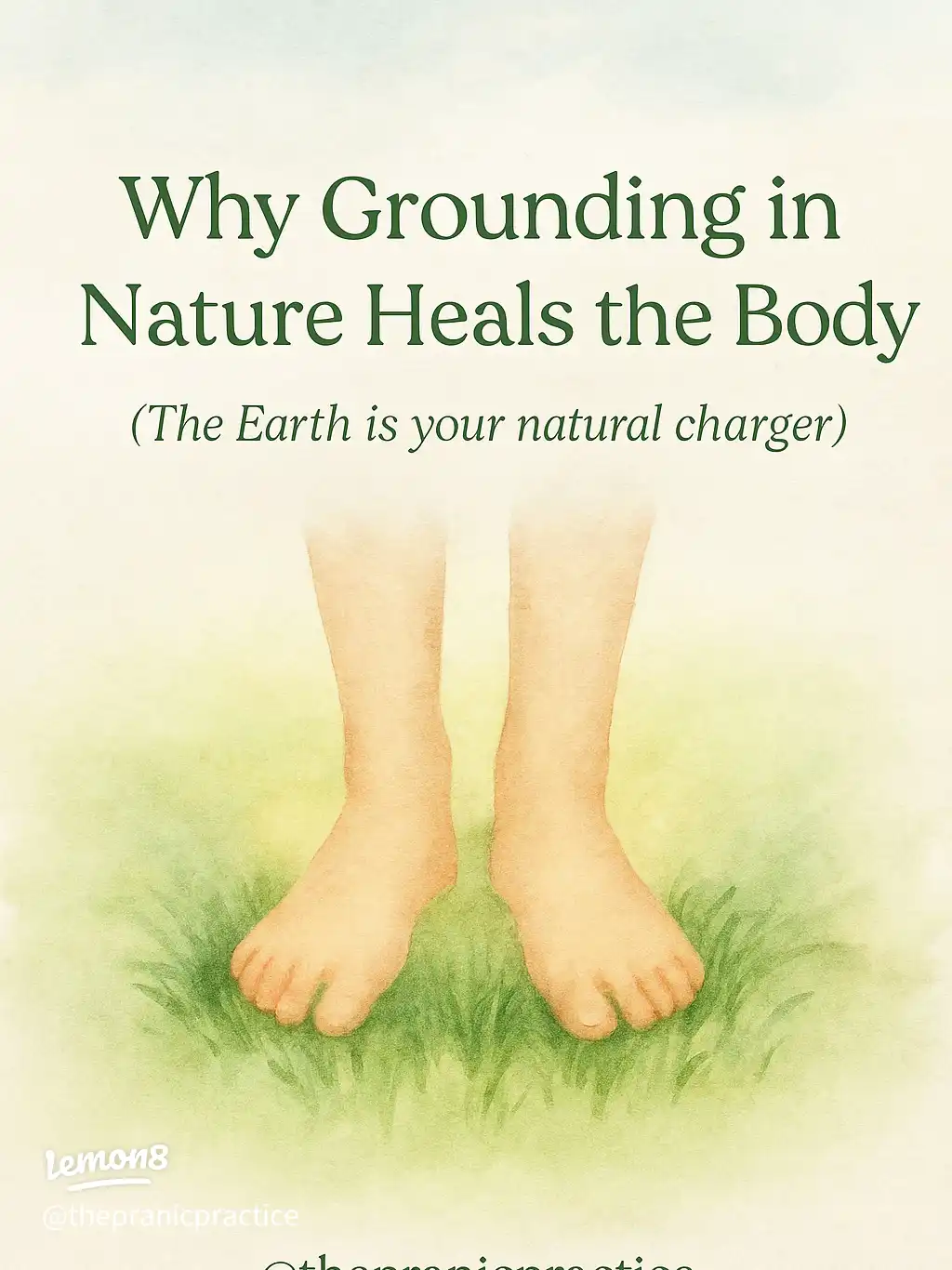 The daily Ground..'s images(0)