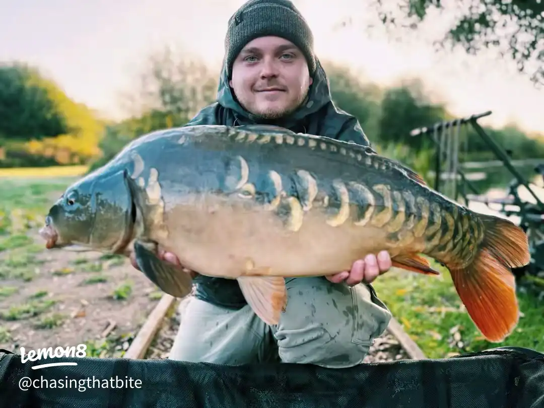 Some of my favourite captures in 2025! 's images(8)