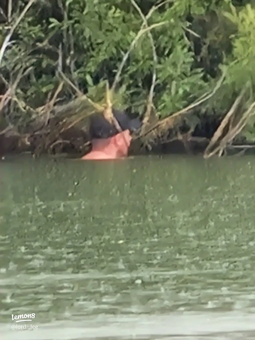 A few captures from 2025's images(4)