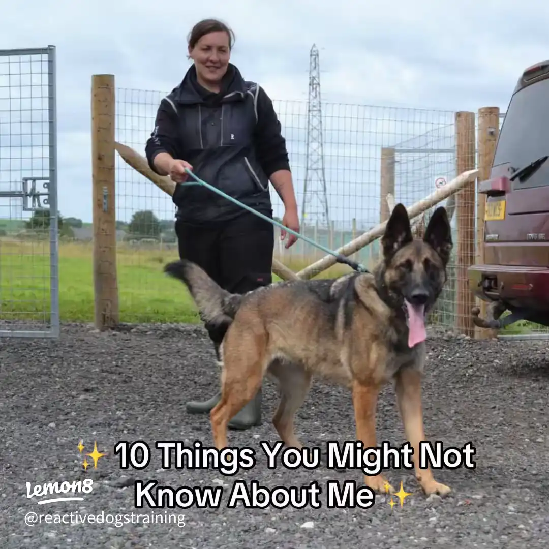 10 Things You Might Not Know About Me ✨ 's images(0)