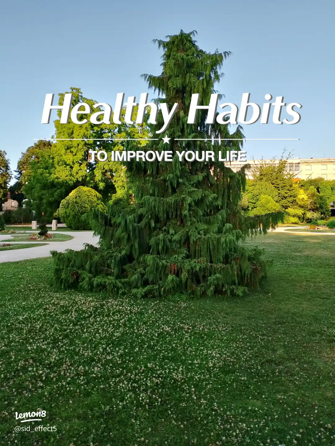 The Jean Zay Garden's images(0)