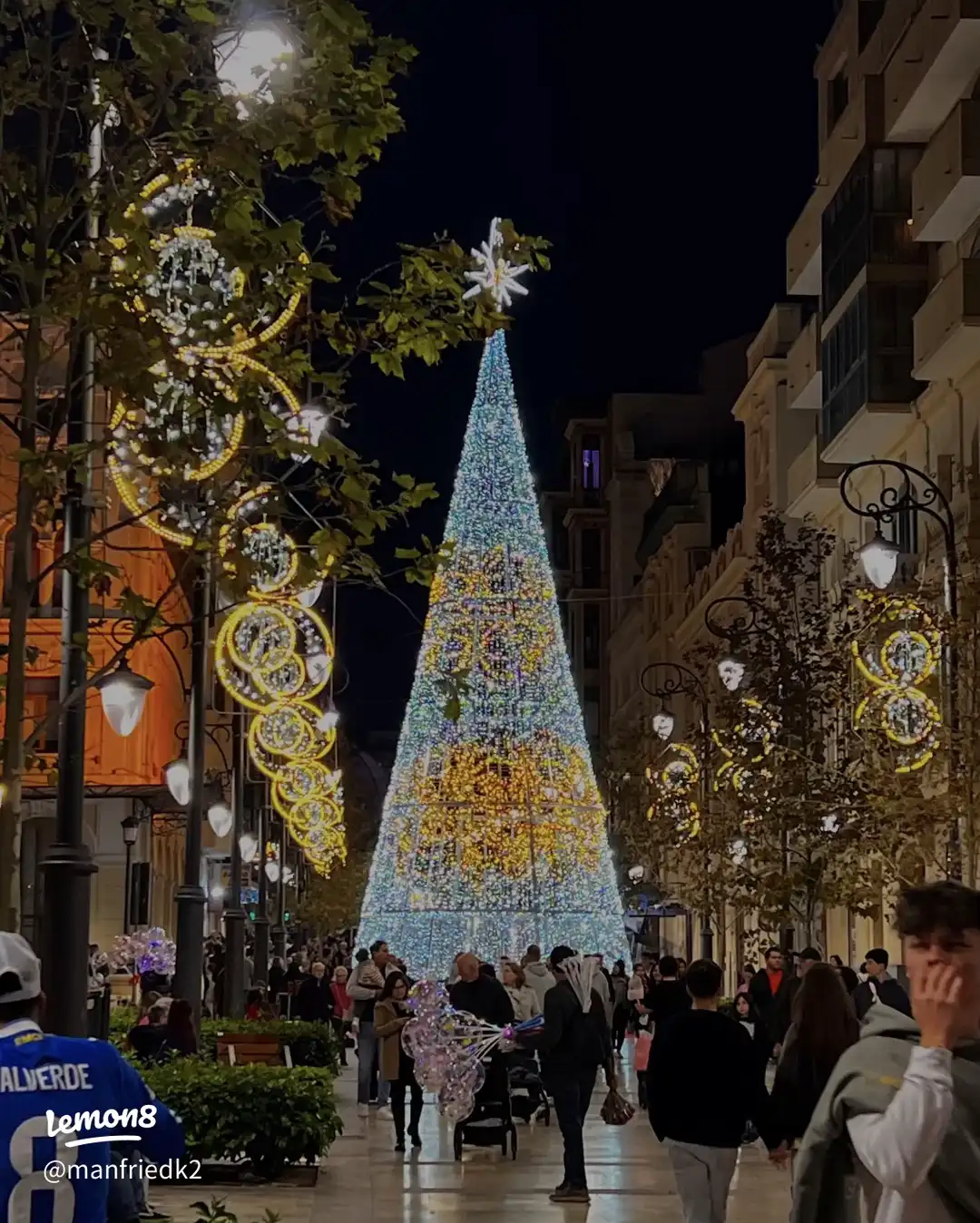 🎅🎄's images(0)