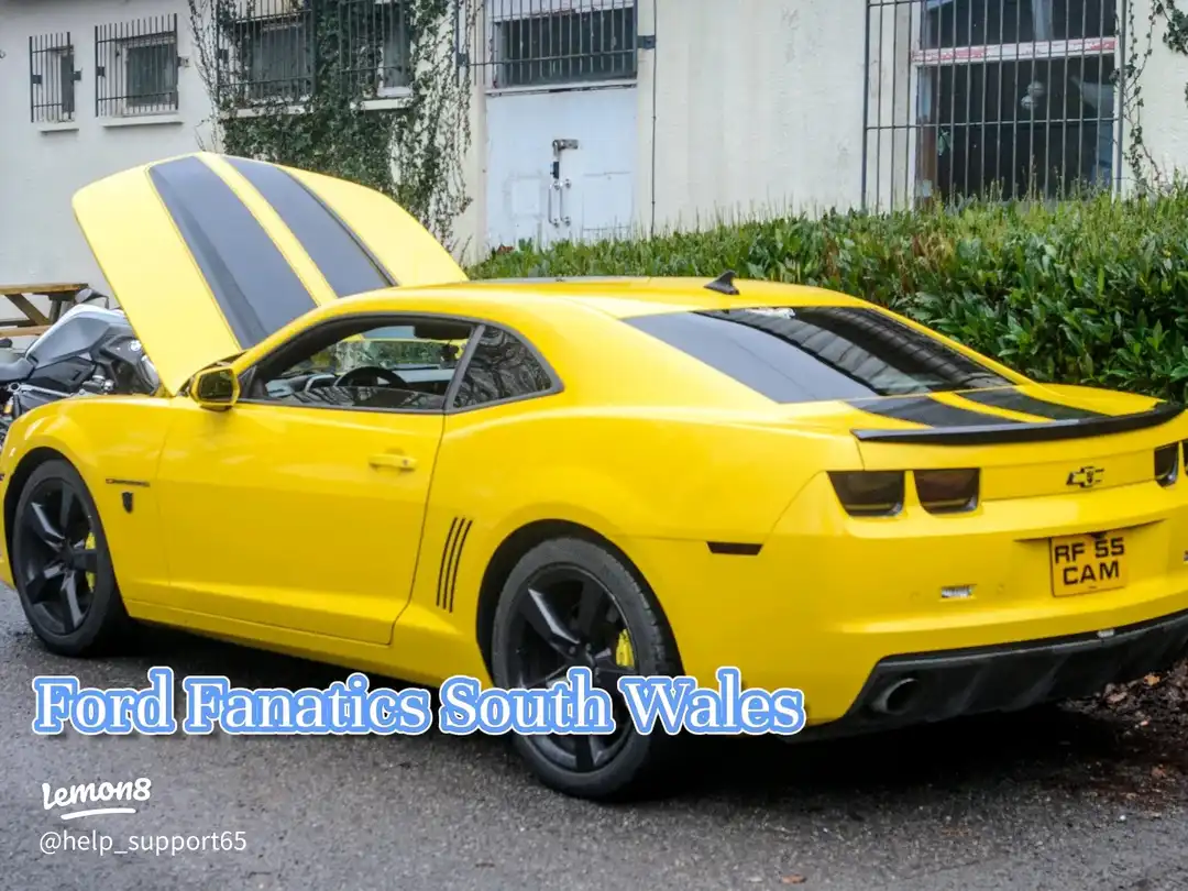 Ford Fanatics South Wales 's images(0)