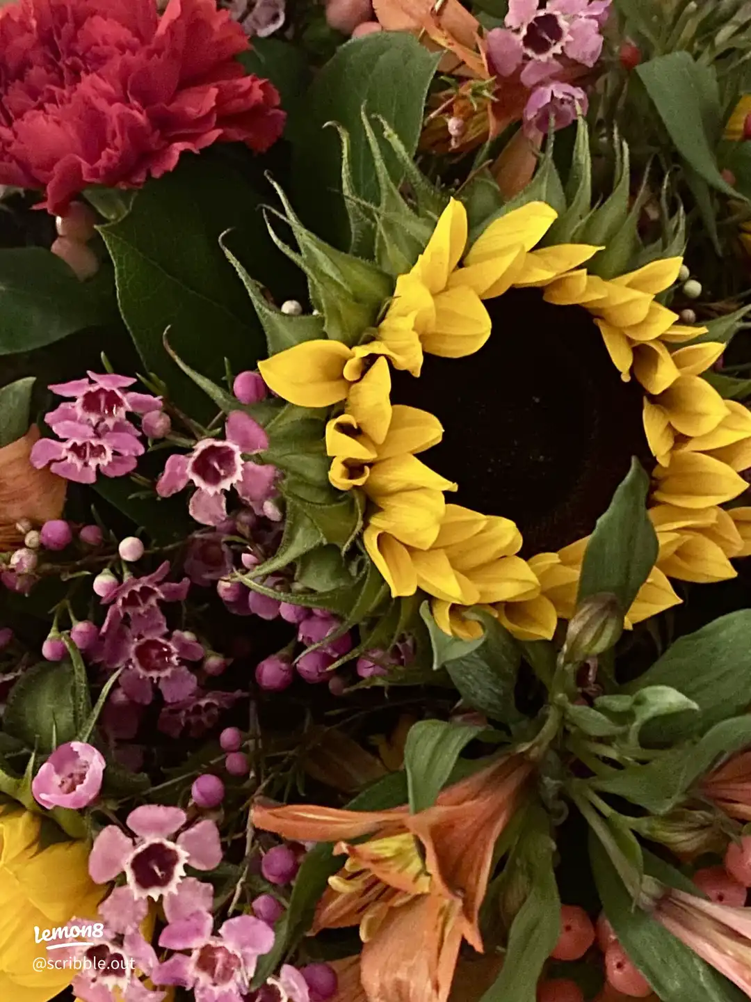 Up Close's images(0)