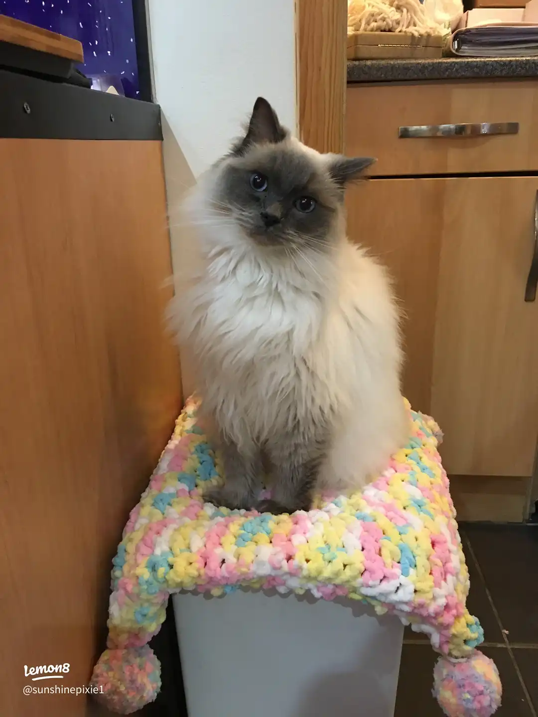 Heartbroken you had to leave us today🥲's images(3)