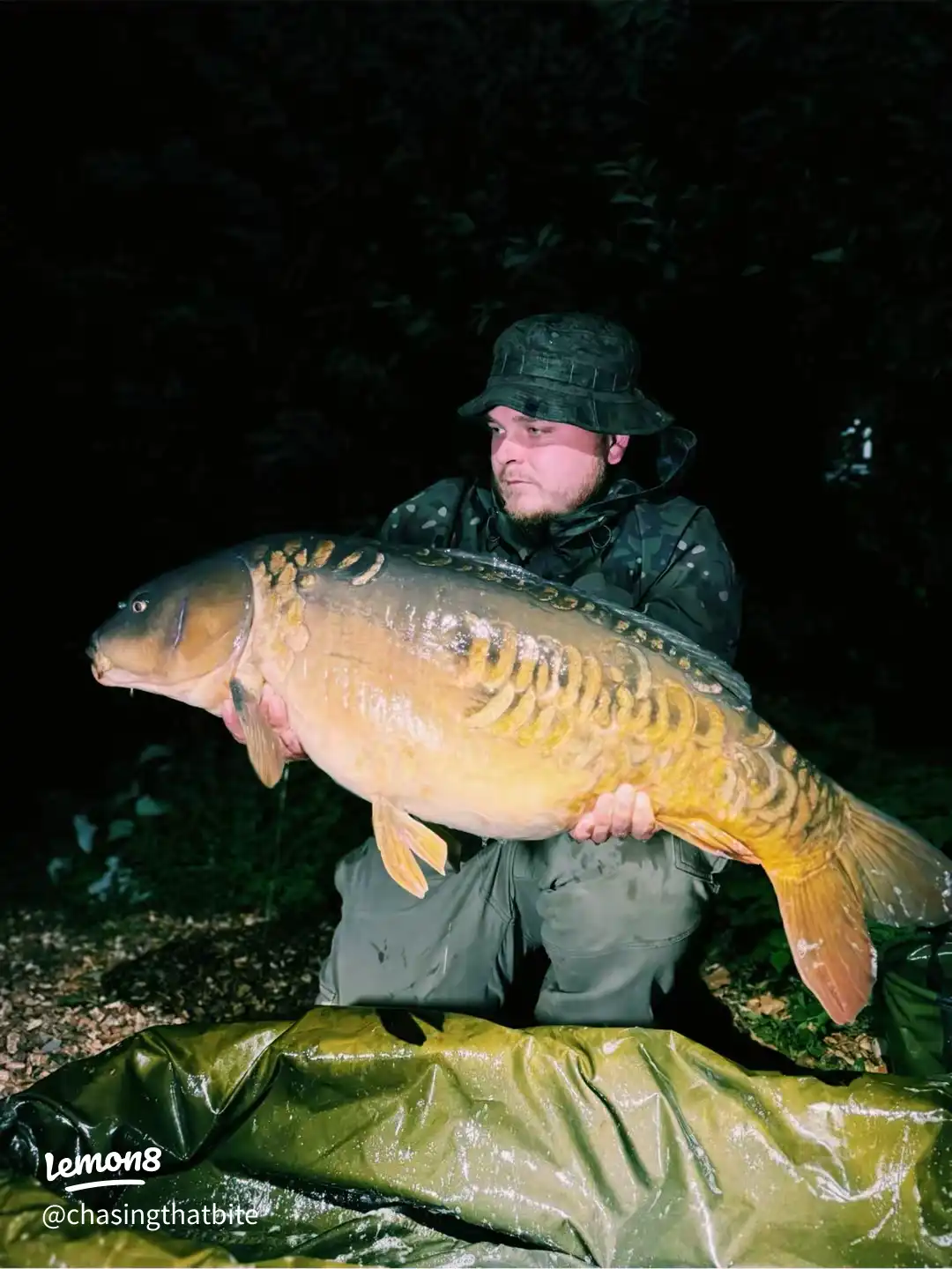 Some of my favourite captures in 2025! 's images(1)