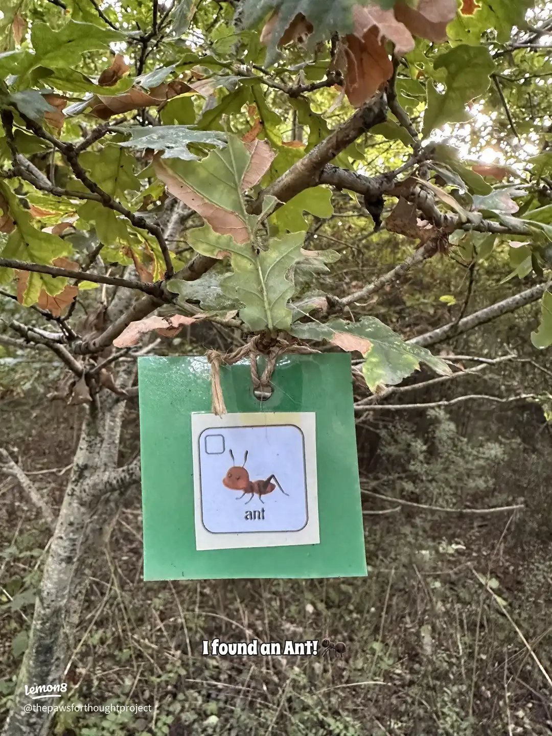 Swipe for autumn vibes 🍂 's images(2)