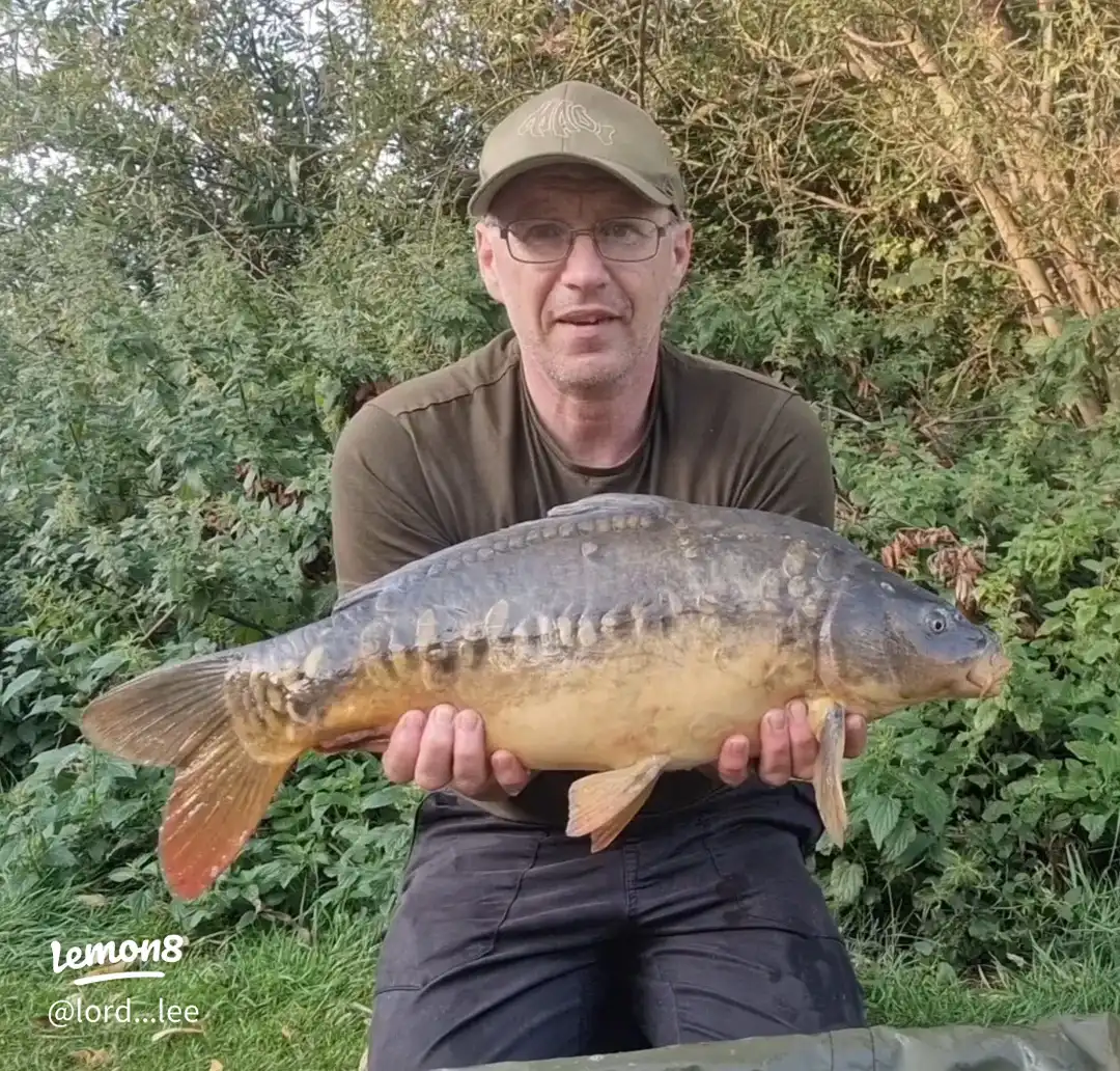 A few captures from 2025's images(1)