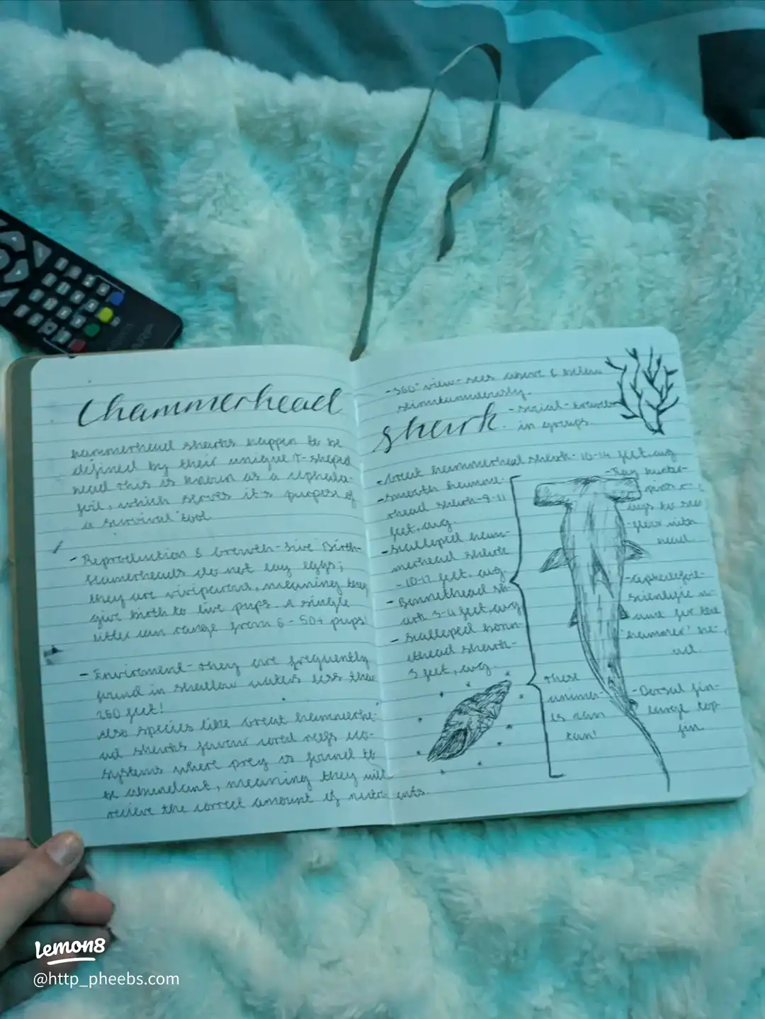 my marine biology journal's images(1)