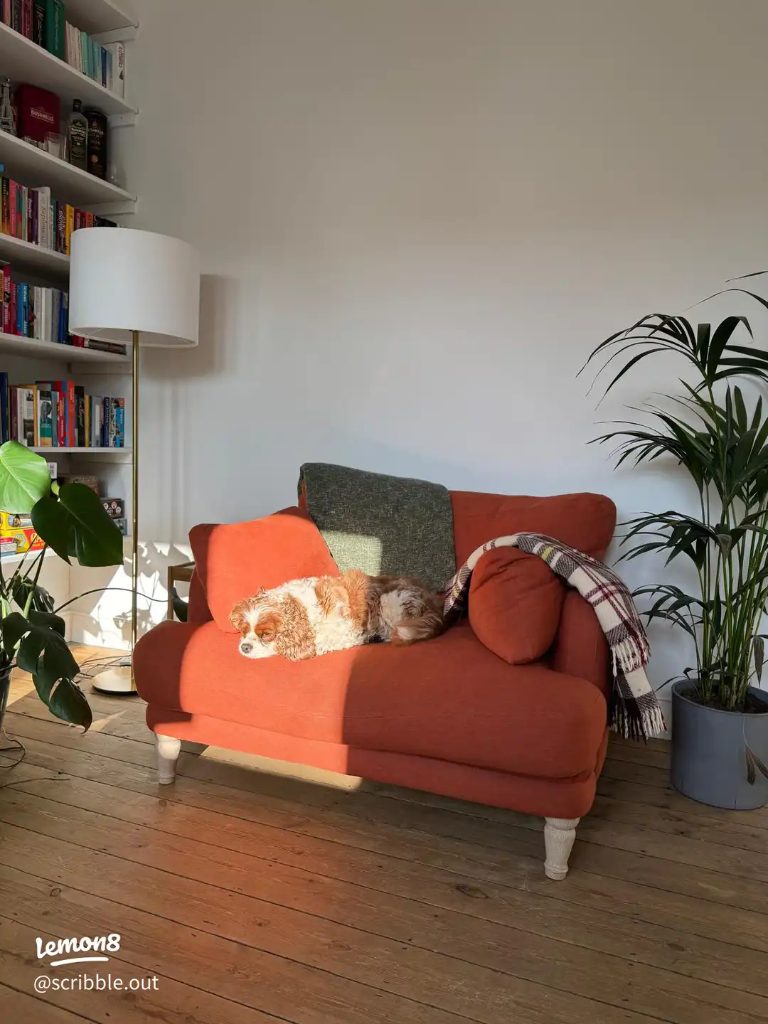 Permission to Pause ☀️'s images(0)