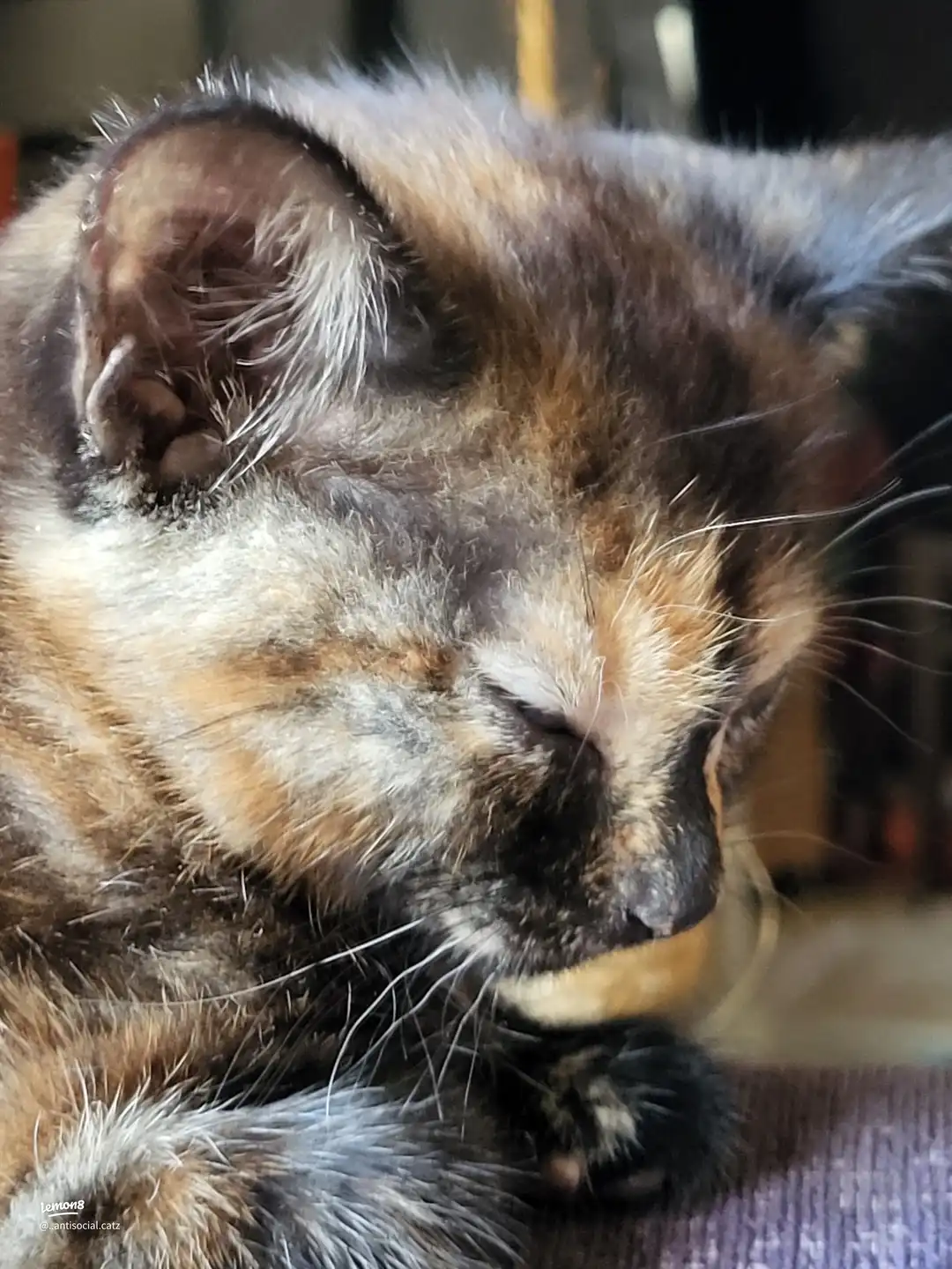 my babies 's images(3)