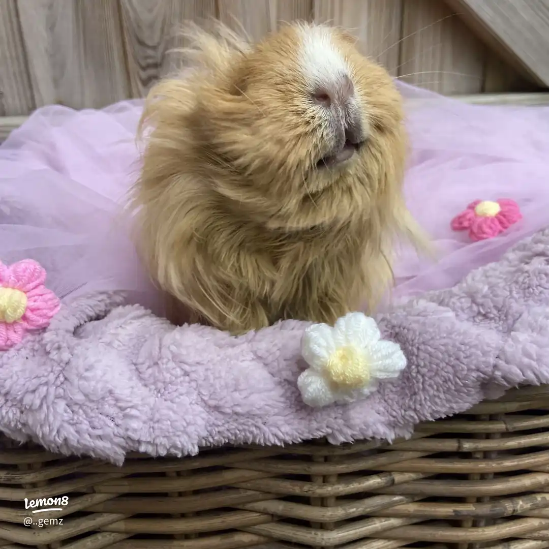 cant believe I caught her mid-shake 😭 's images(0)