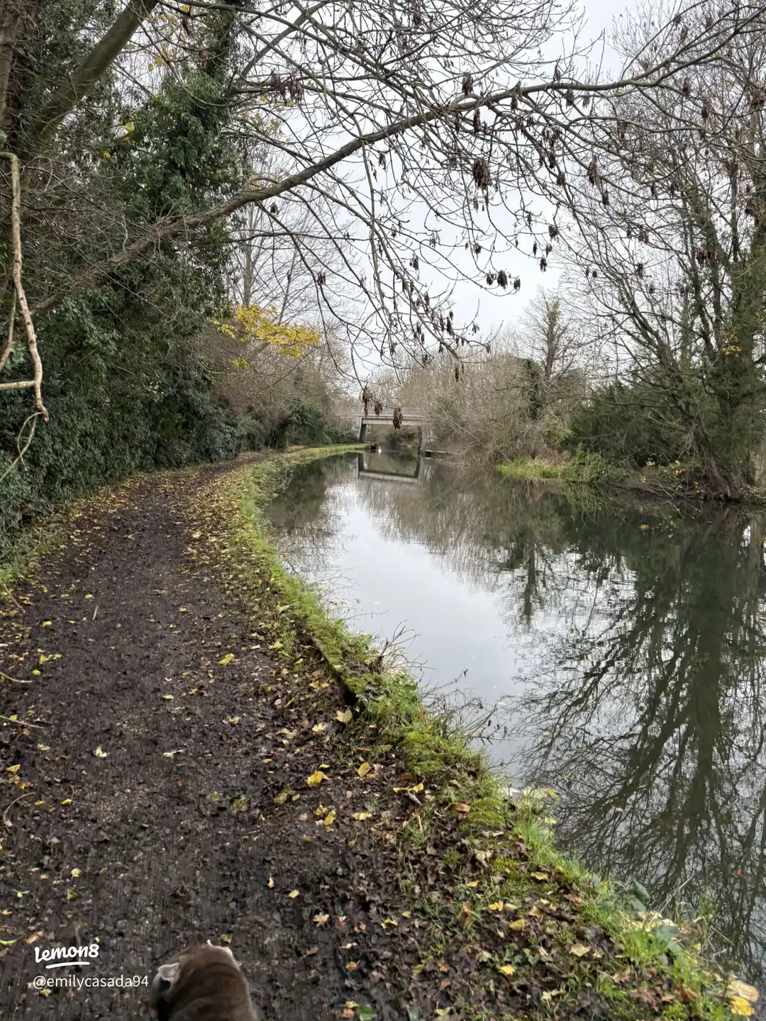 From one town to another 's images(6)