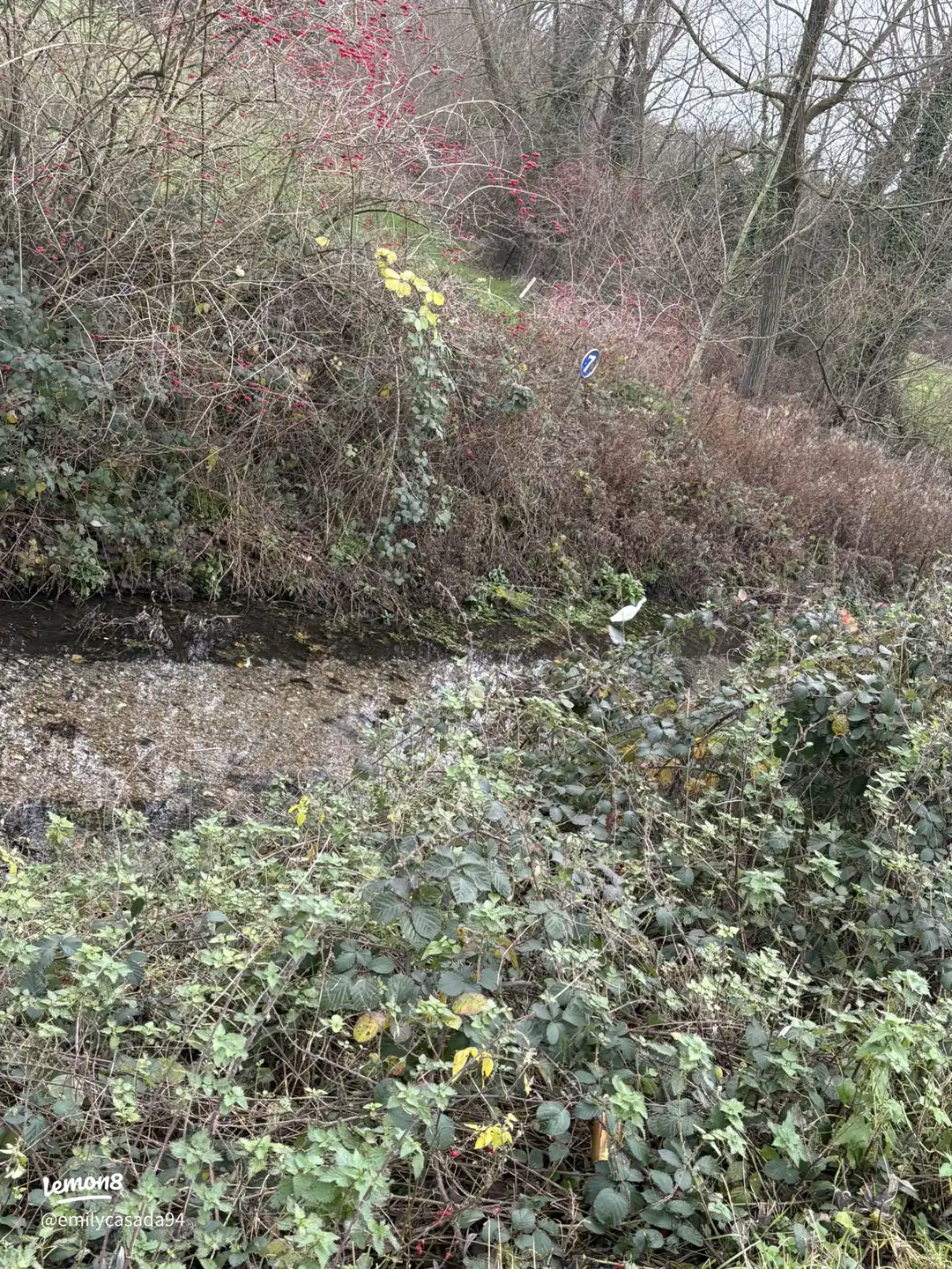 From one town to another 's images(3)