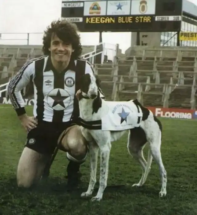 Get Well King Kev #newcastleunited