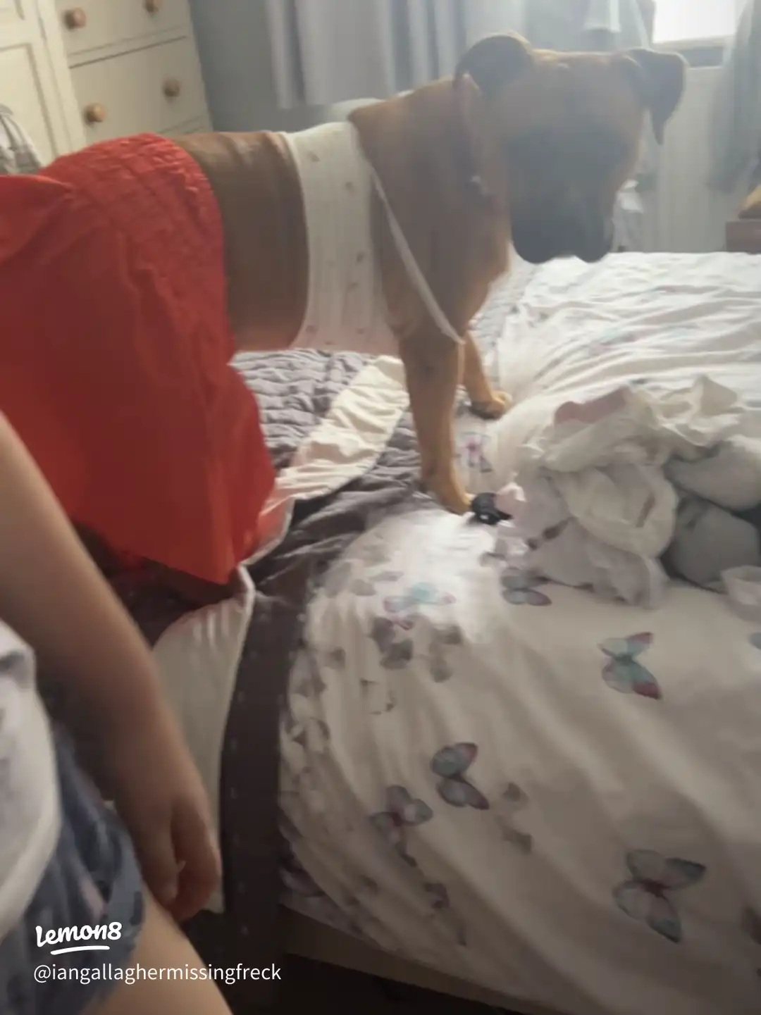 cr dumpppp's images(1)