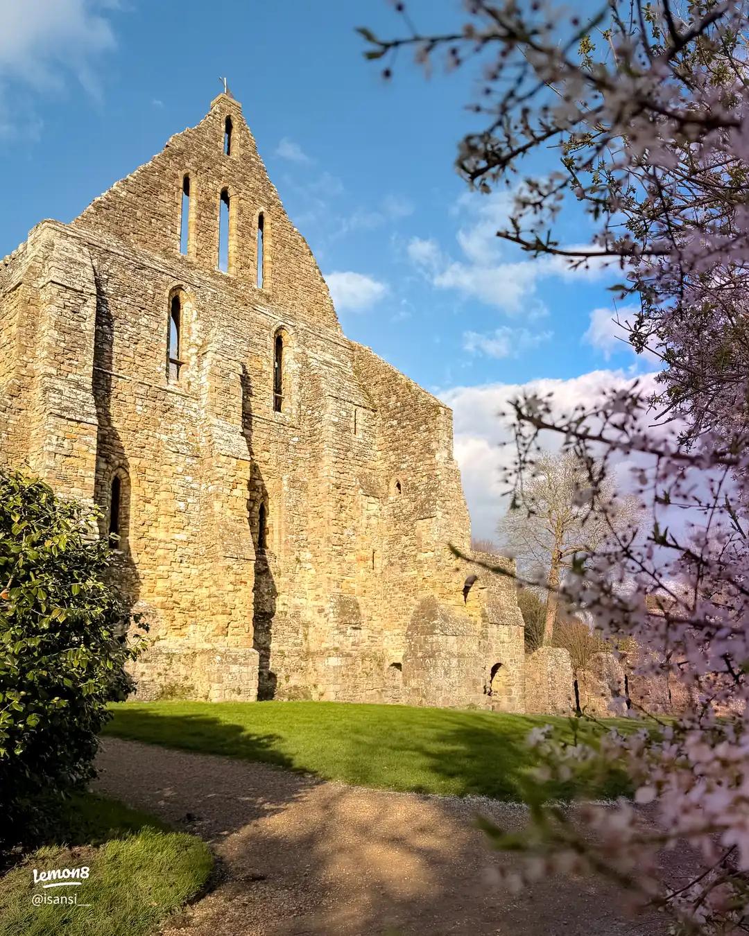 Soft blossoms and ancient beauty 🌸's images(0)