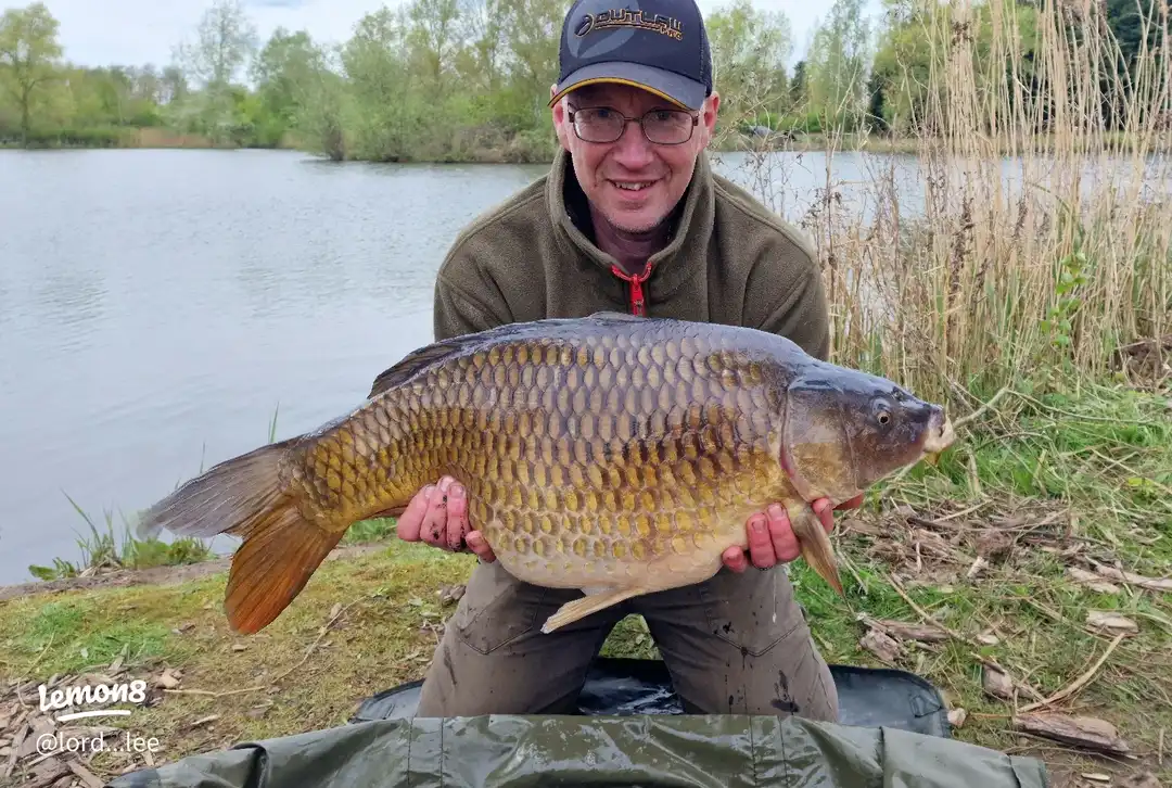 A few captures from 2025's images(7)