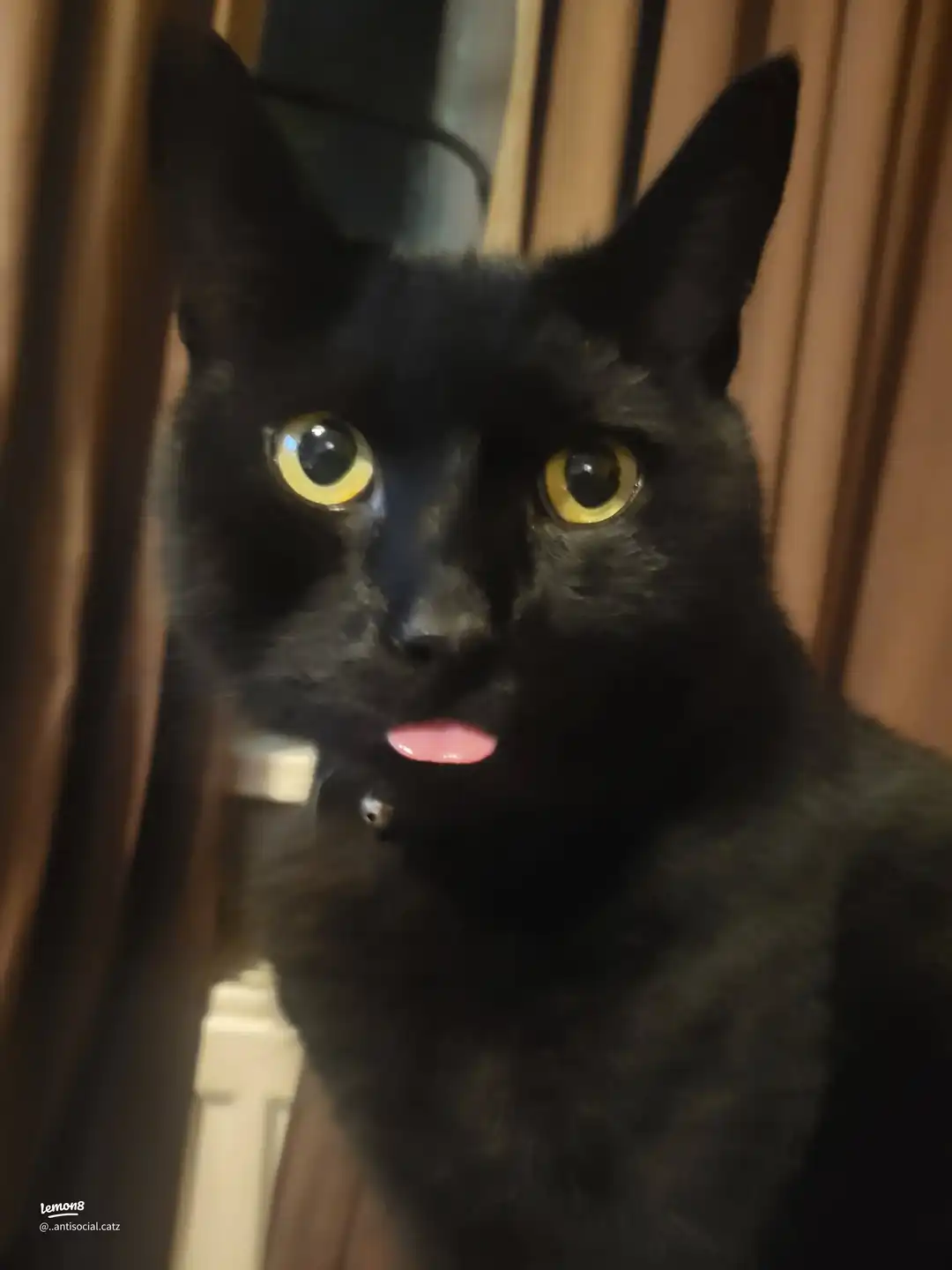 my babies 's images(7)