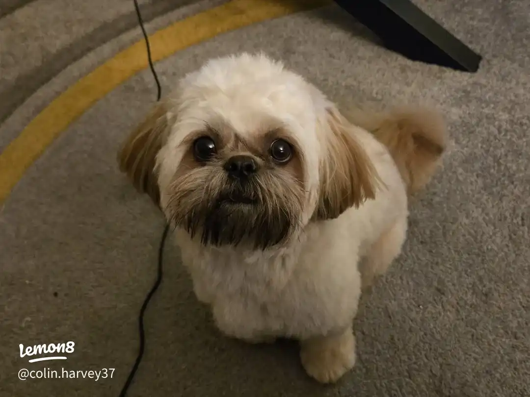 my baby 's images(0)