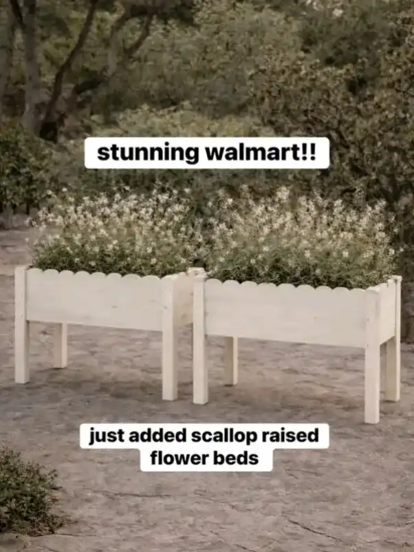 🔗⬇️ WALLYWORLD the prettiest scalloped raised flow