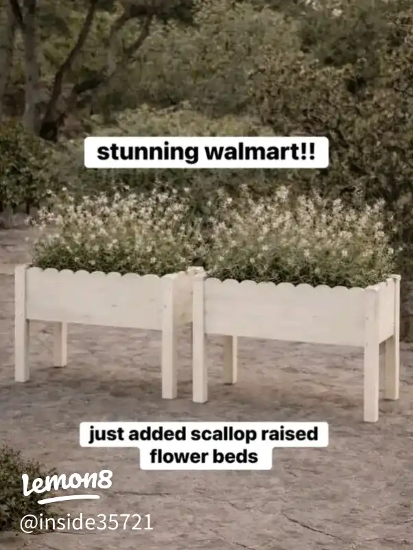 🔗⬇️ WALLYWORLD the prettiest scalloped raised flow's images(0)