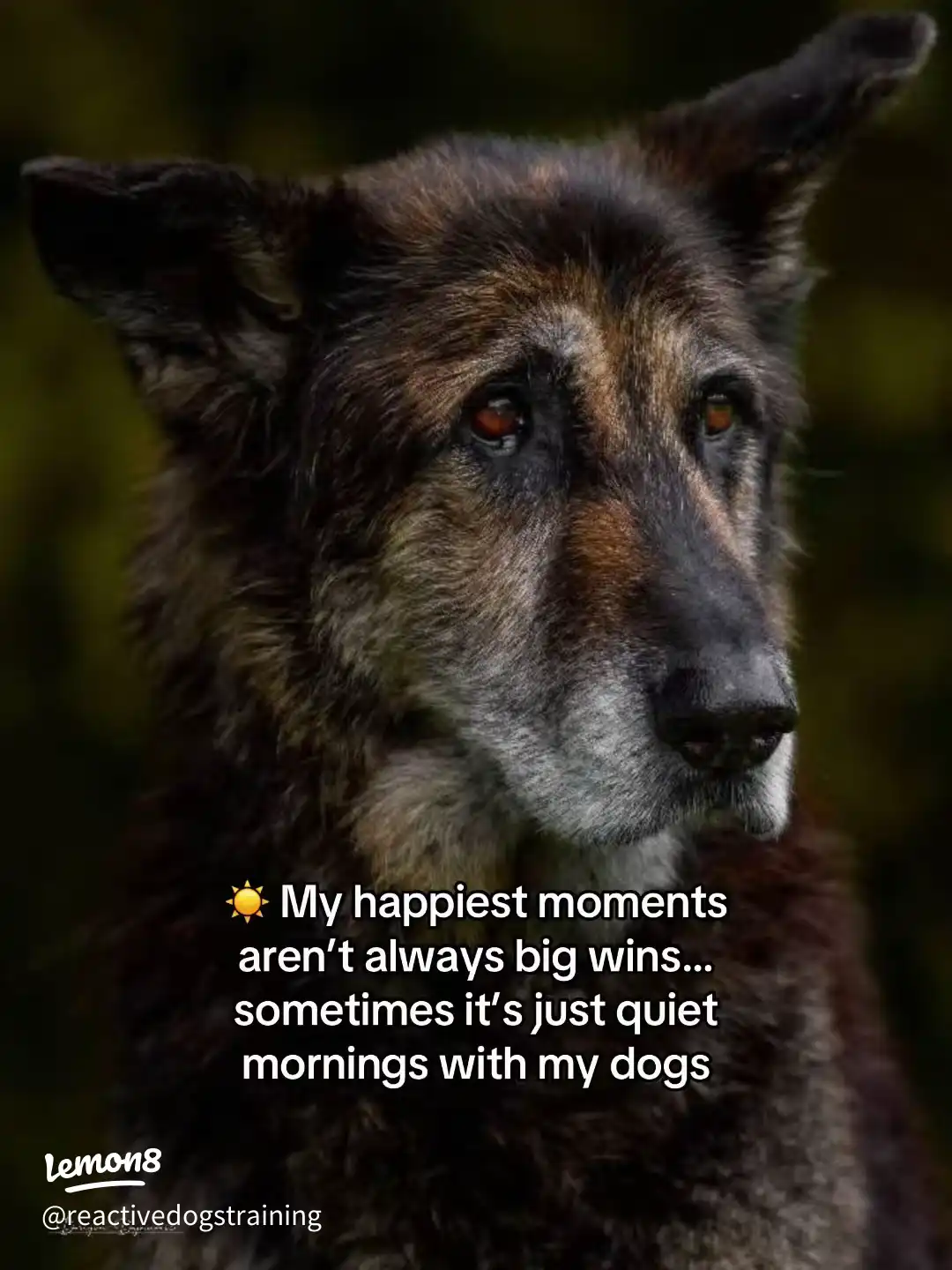 10 Things You Might Not Know About Me ✨ 's images(3)