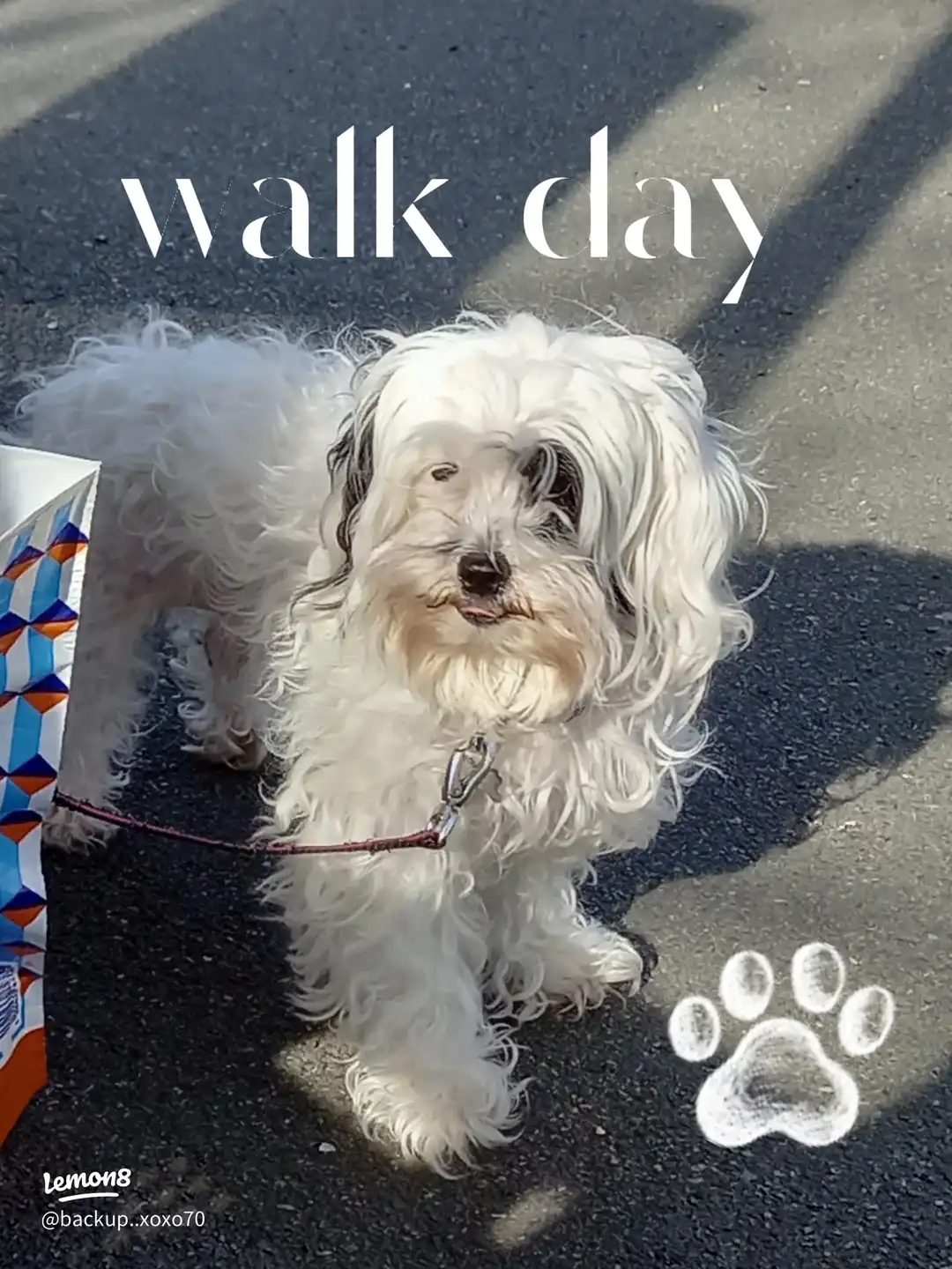 walk day's images(0)
