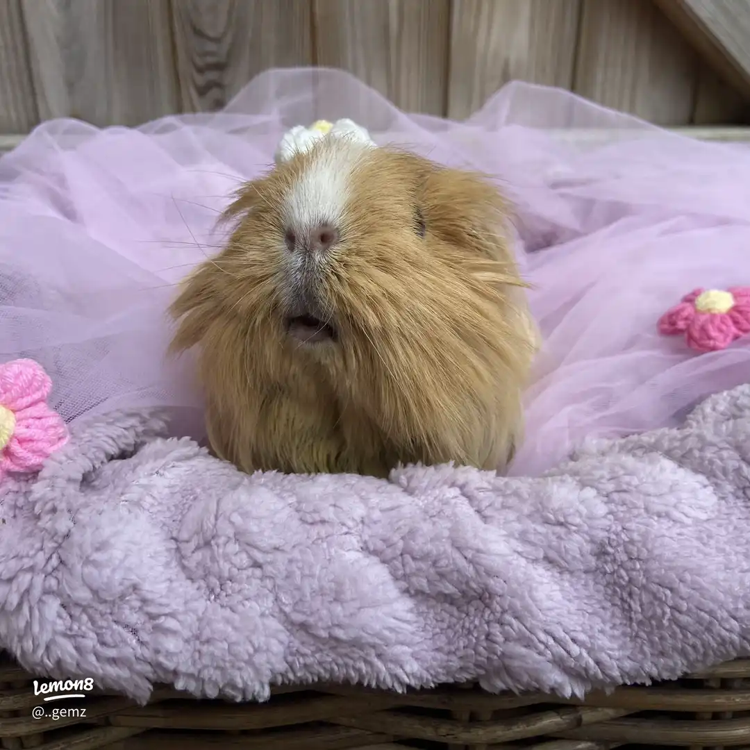 cant believe I caught her mid-shake 😭 's images(1)