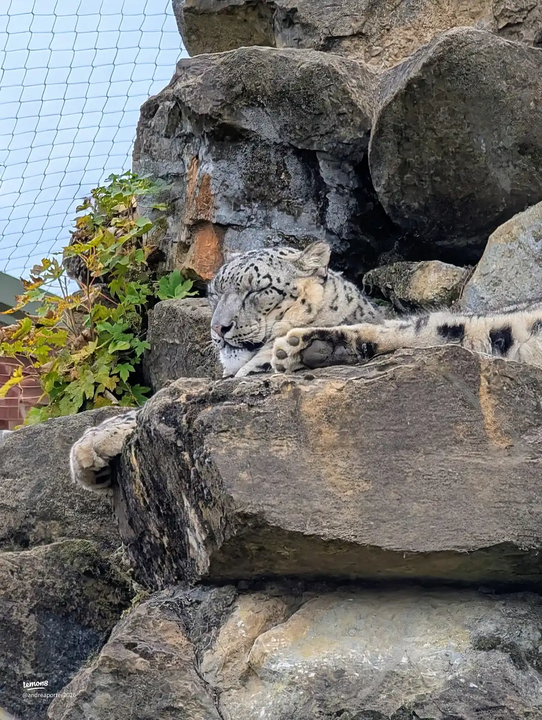 banham zoo trip 's images(1)