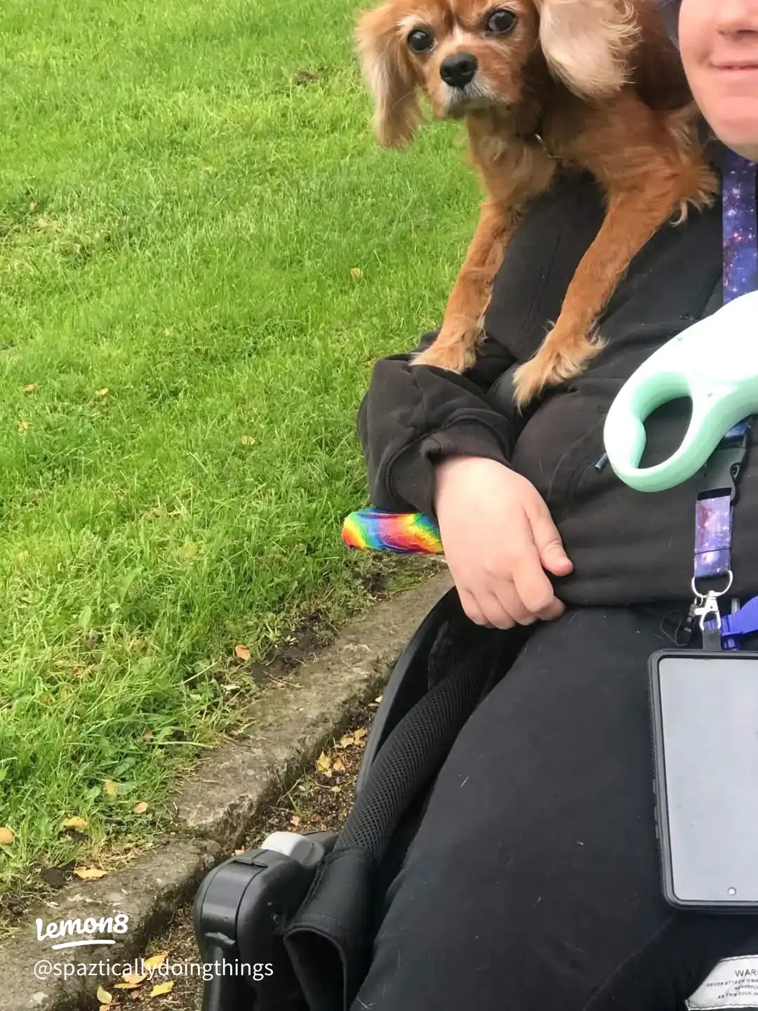 Is this how this works 's images(0)