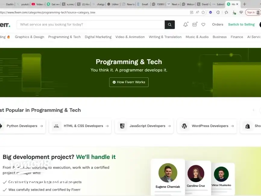 🌟 Fiverr Review — A Practical Look at the Freelanc's images(0)