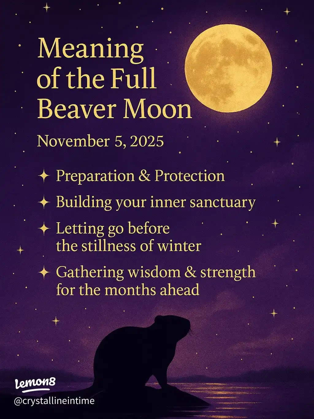 The Beaver Full Moon Ritual's images(0)