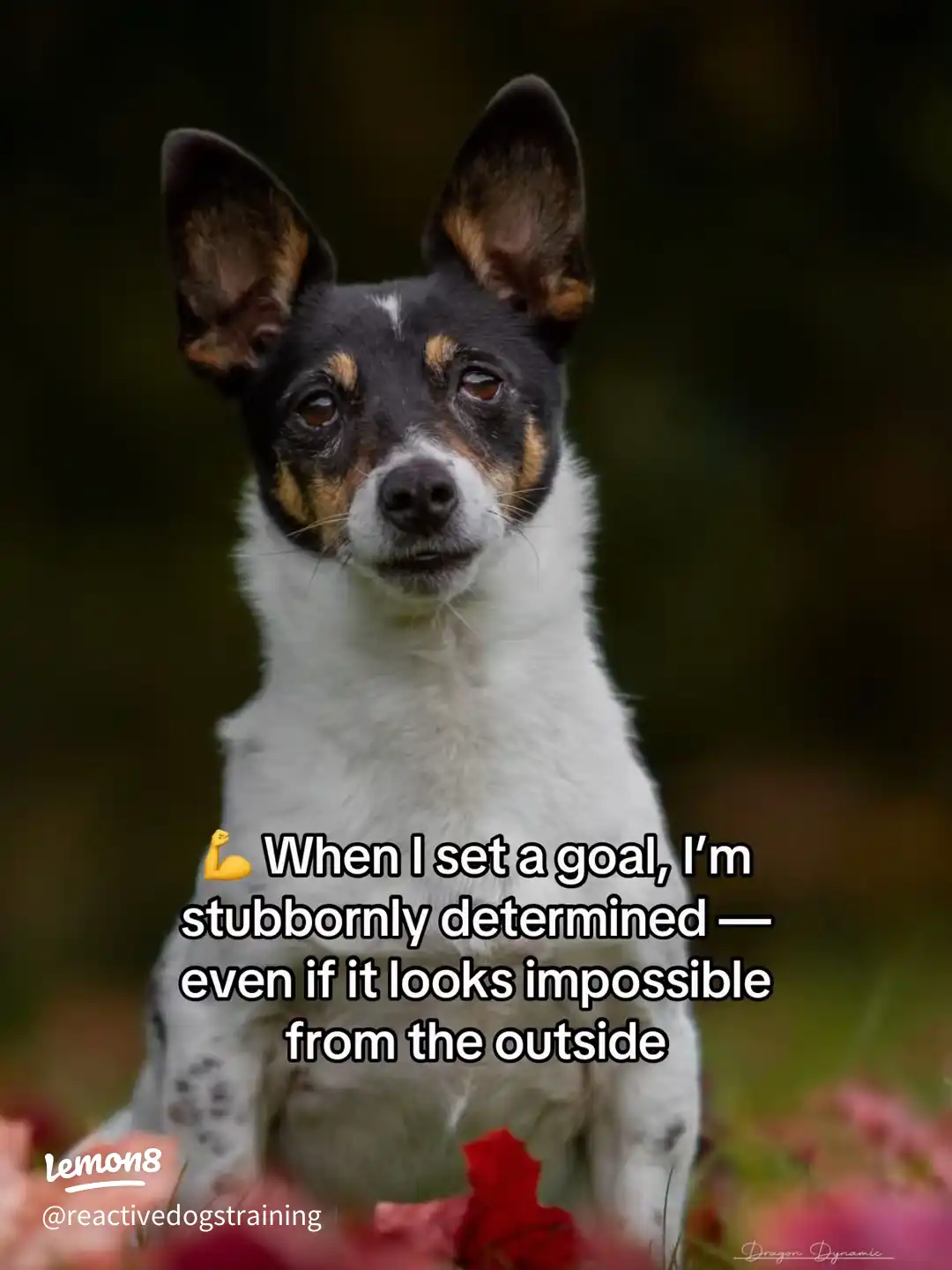 10 Things You Might Not Know About Me ✨ 's images(4)