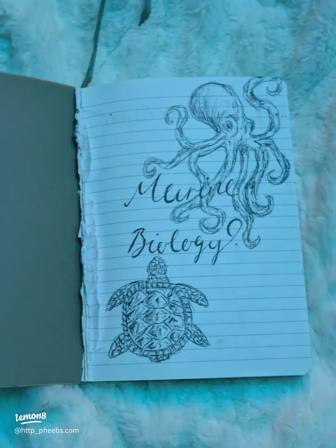 my marine biology journal's images(0)