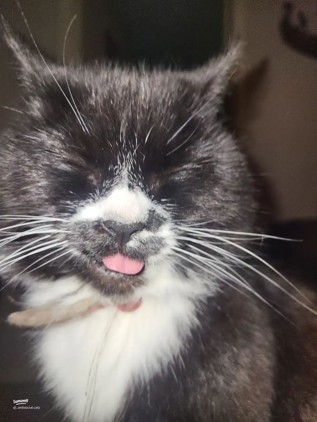 my babies 's images(6)