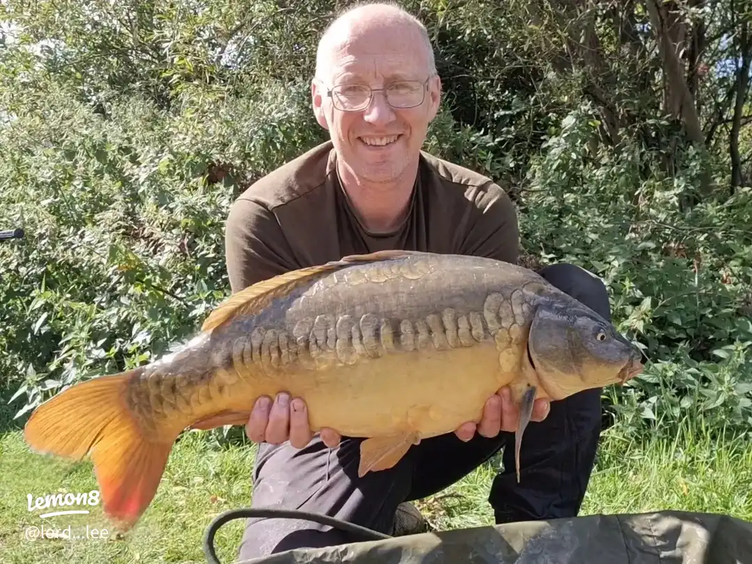 A few captures from 2025's images(0)