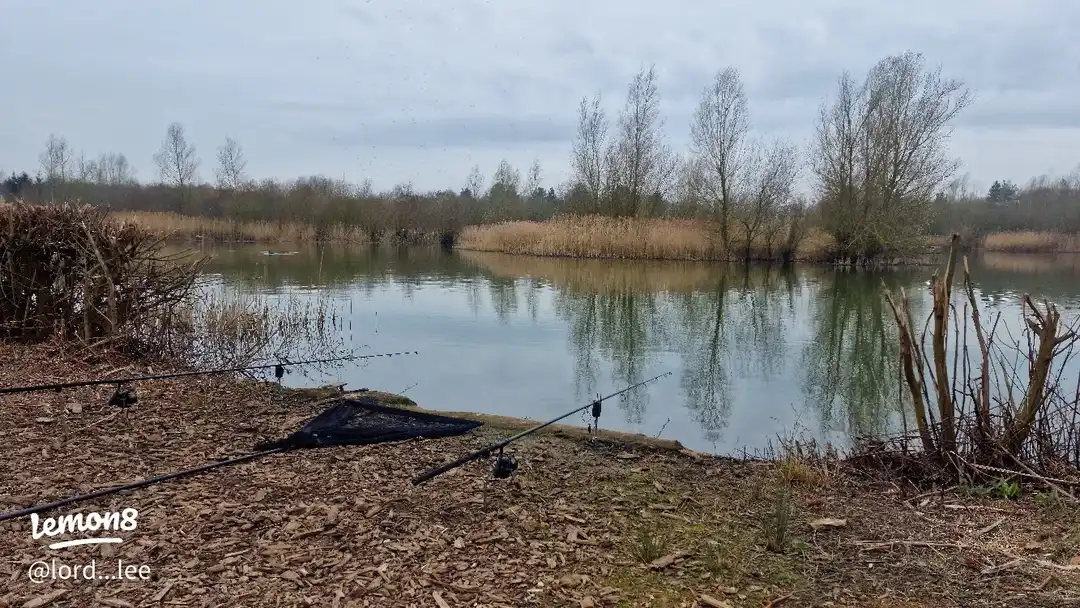 A few captures from 2025's images(8)