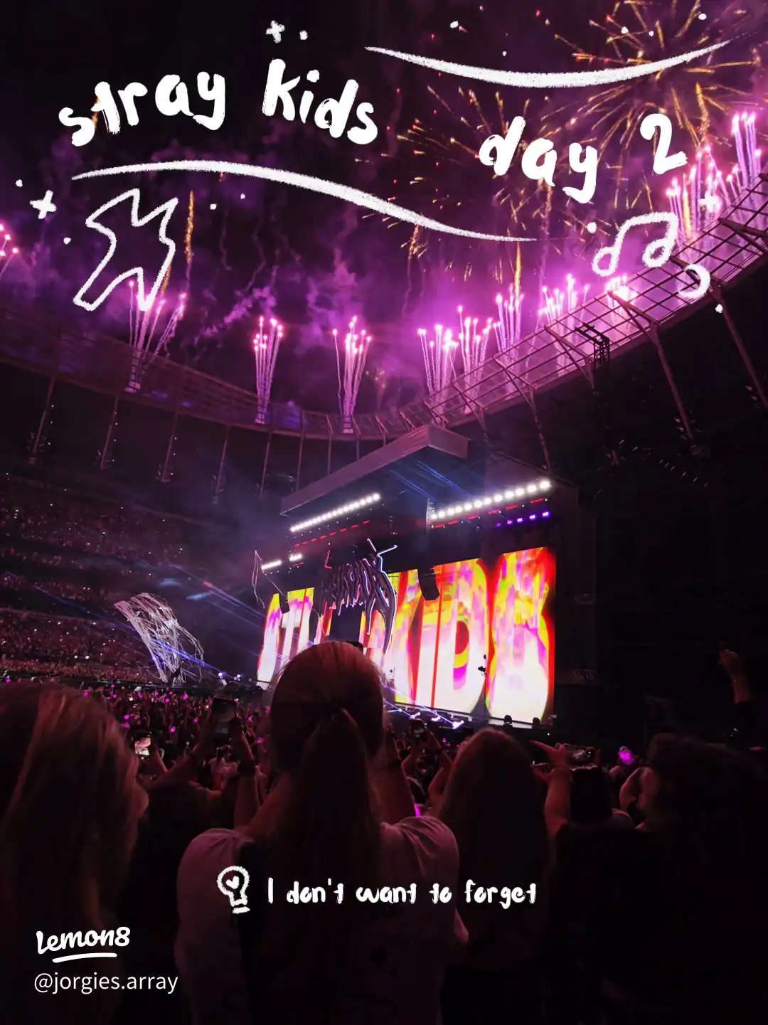 Lil Concert dump 🫶🏻✨'s images(8)