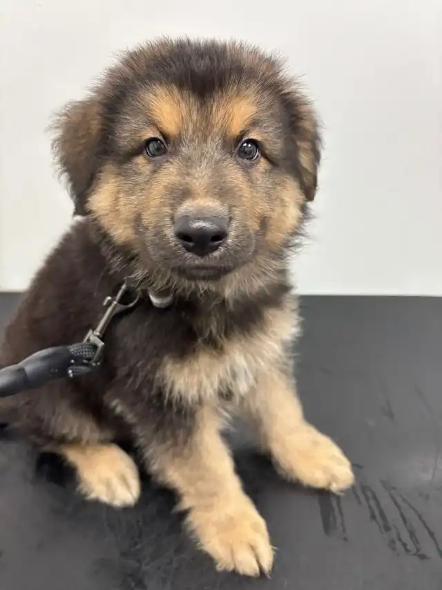 First injections? Smashed it, mate.