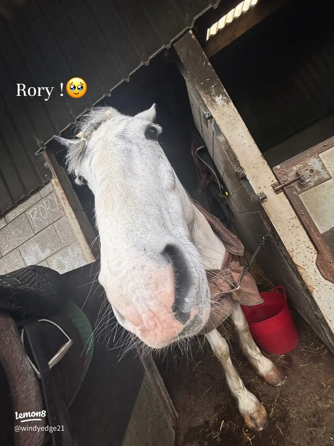 Rory !🥹's images(0)